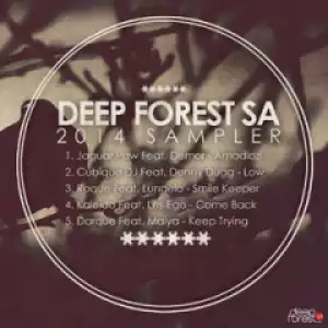 Deepforestsa 2014 Sampler BY Jaguar Paw
